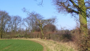 Greater Beaulieu Park
